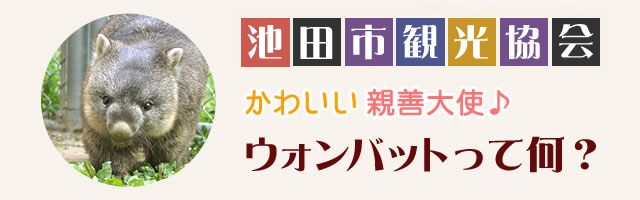 池田市観光協会ウォンバットハウス